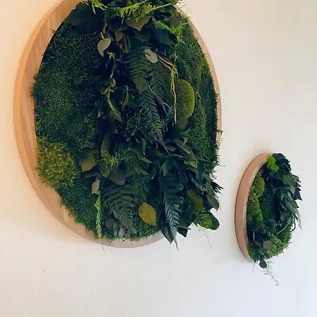 Divina With Private Heated Pool Pola