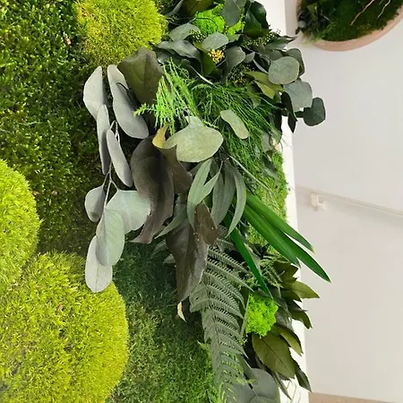 Divina With Private Heated Pool * Pola