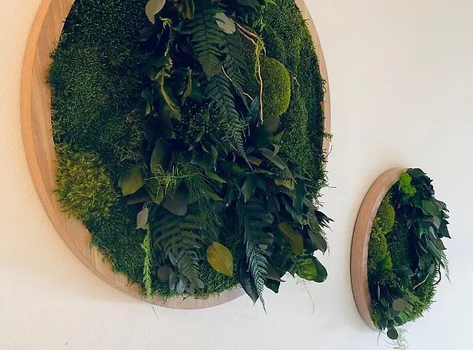 Divina With Private Heated Pool Pula